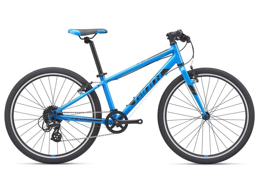Giant ARX 24&quot;