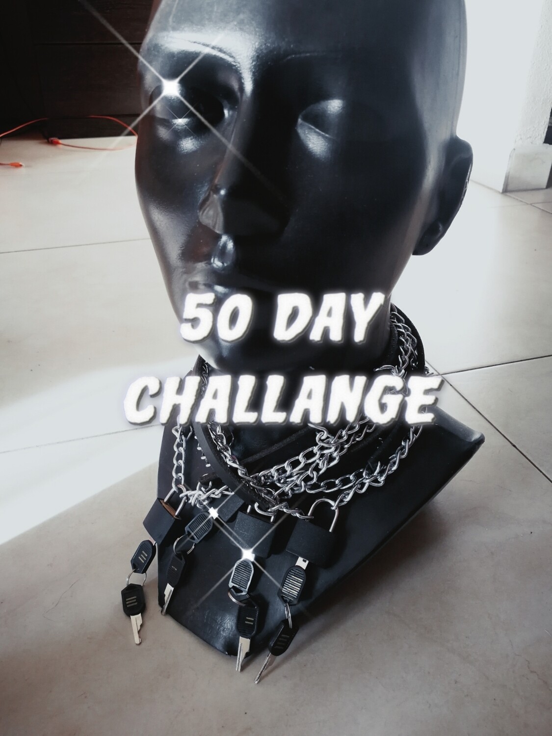 50 Day Challenge START