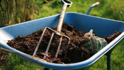 Compost (m3)