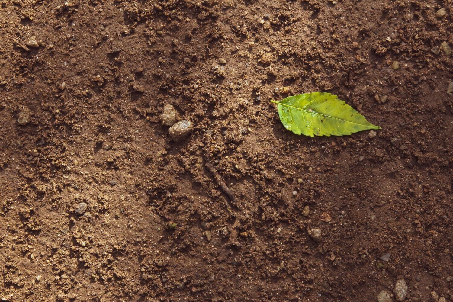 Top Soil (m3)