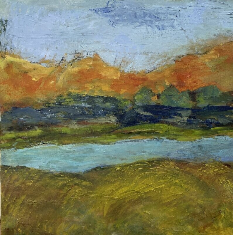 "Wicklow Mountains 1"