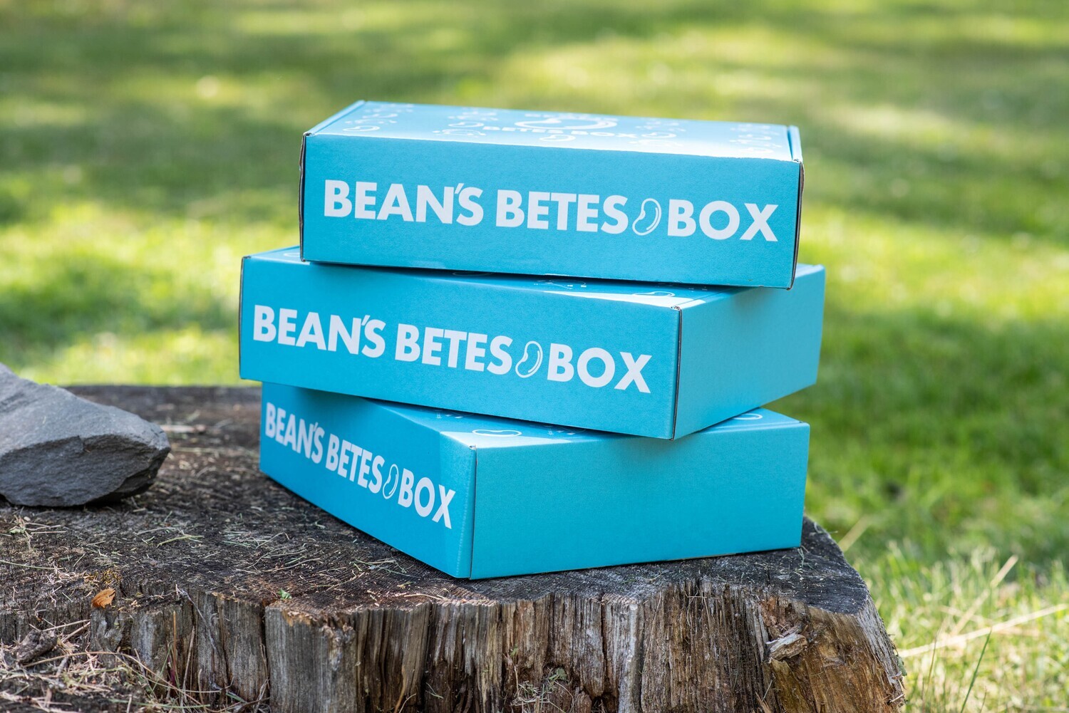 Bean's Betes Box