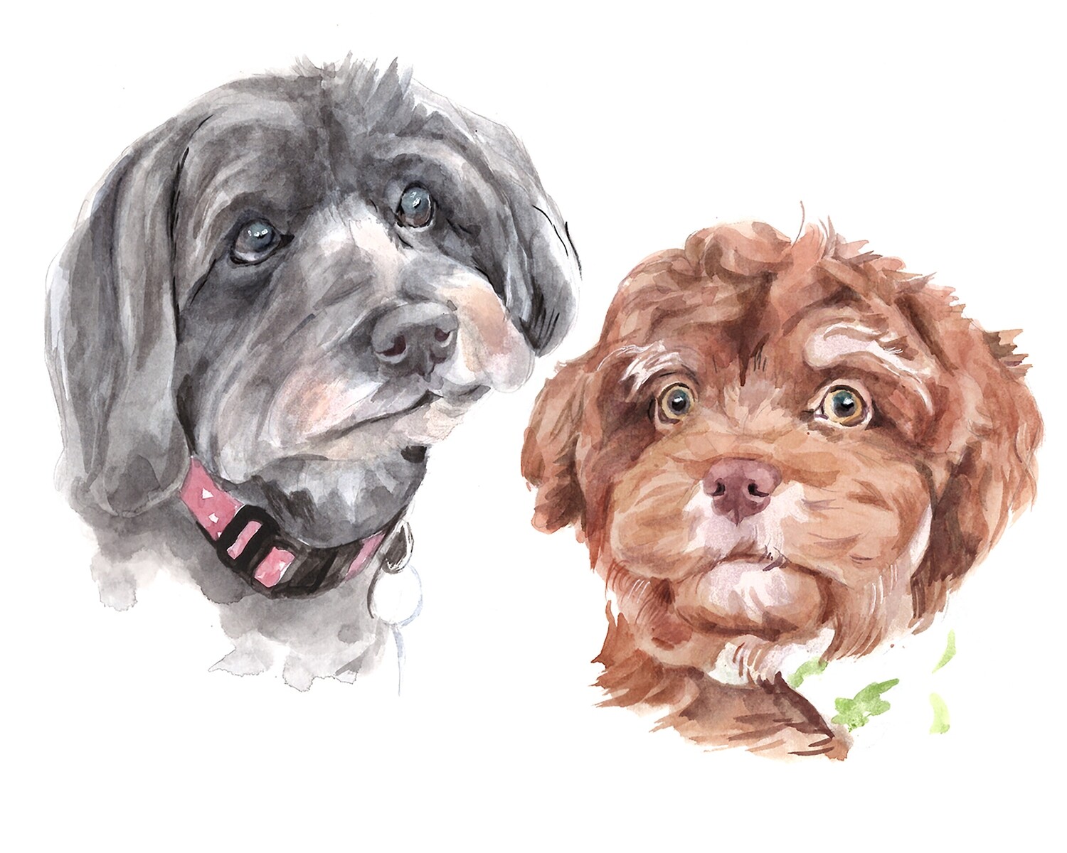 Double Pet Portrait