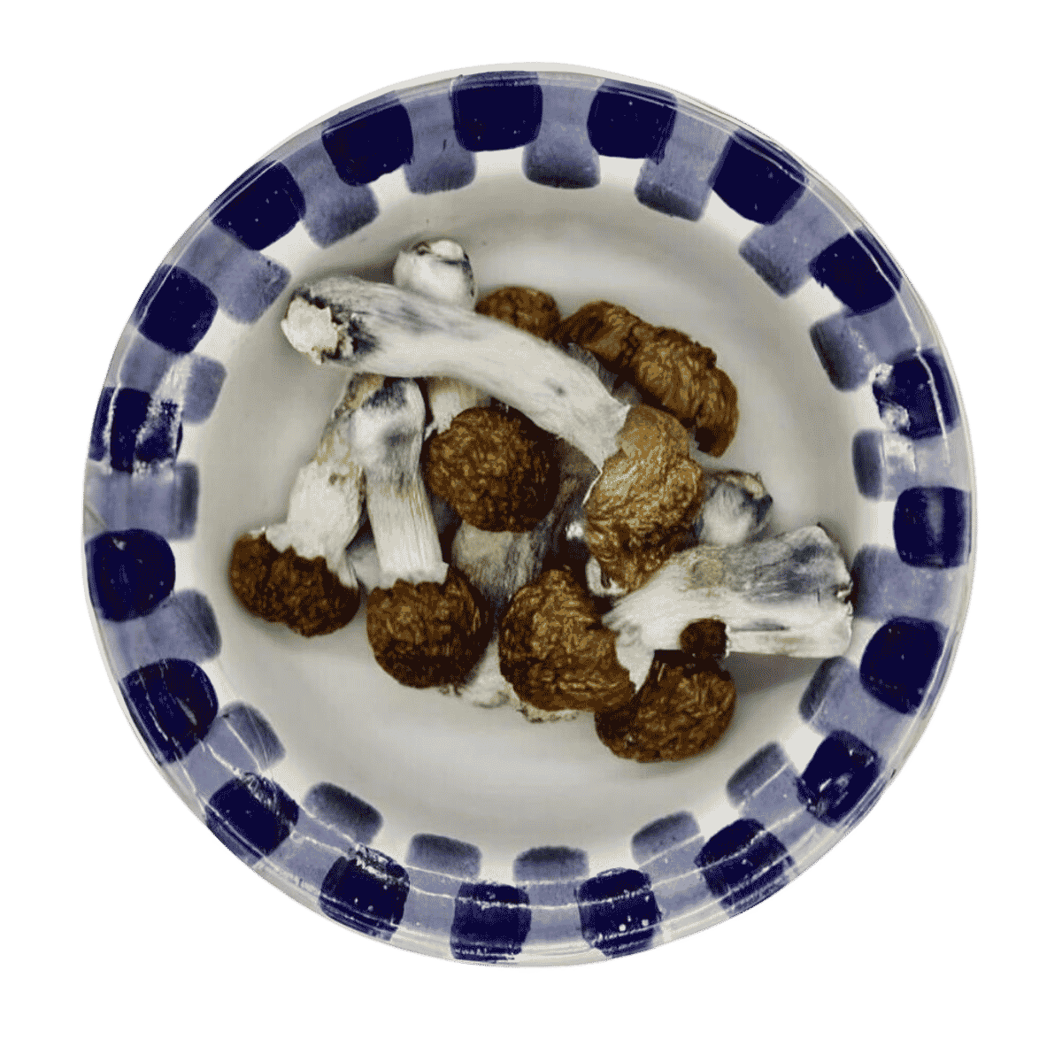 Blue Pulaski Magic Mushrooms