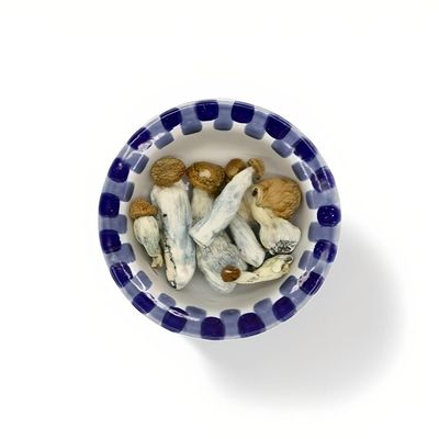 Gold Member  Magic Mushrooms