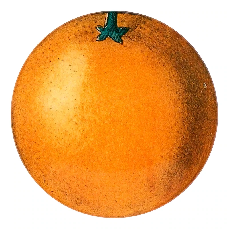 John Derian Decoupage "Orange" 5 1/4" Round Plate