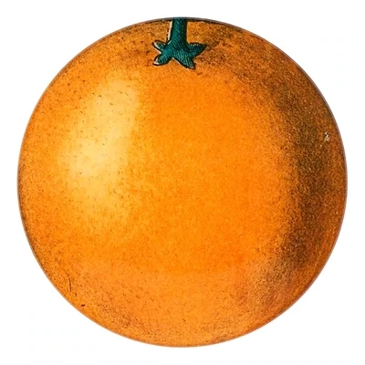 John Derian Decoupage "Orange" 5 1/4" Round Plate