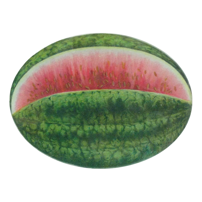 John Derian Decoupage &quot;Watermelon&quot; 5 x 7 Oval