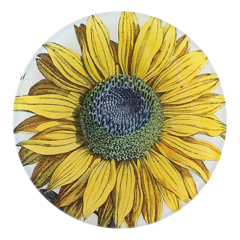 John Derian Decoupage &quot;Sunflower&quot; 5 3/4&quot; Round Plate