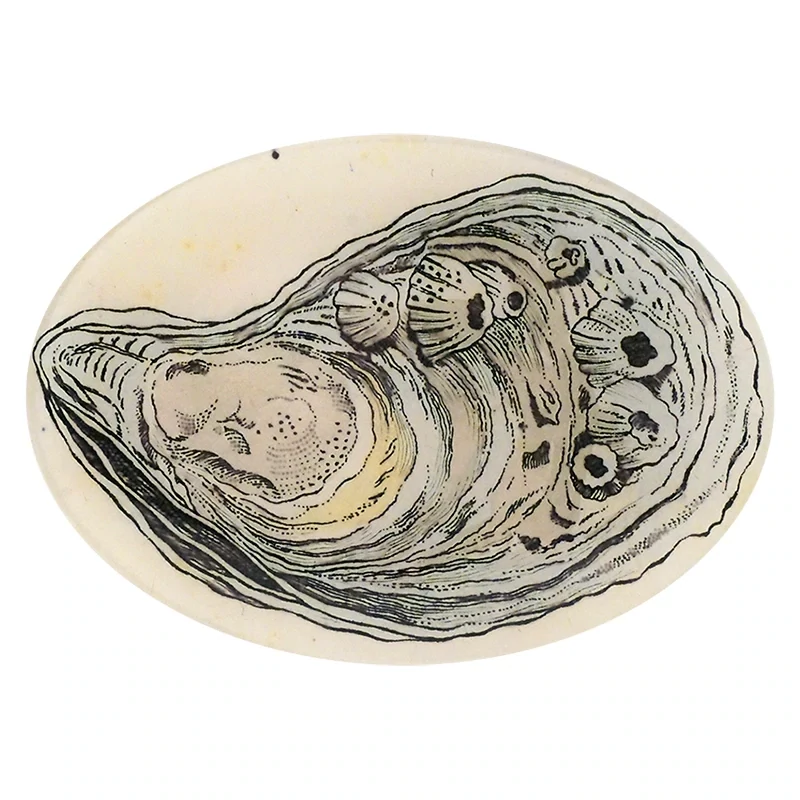 John Derian Decoupage &quot;Oyster&quot; 7 x 10&quot; Oval