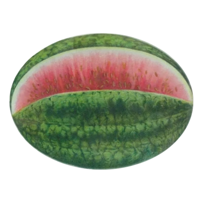 John Derian Decoupage "Watermelon" 5 x 7 Oval