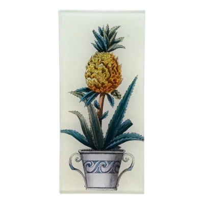 John Derian Decoupage "Potted Pineapple" 3.5 x 7" Rectangular Tray
