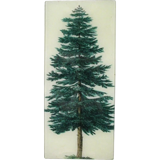 John Derian Decoupage &quot;Evergreen Tree&quot; 6.5 x 14.5&quot; Rectangular Tray