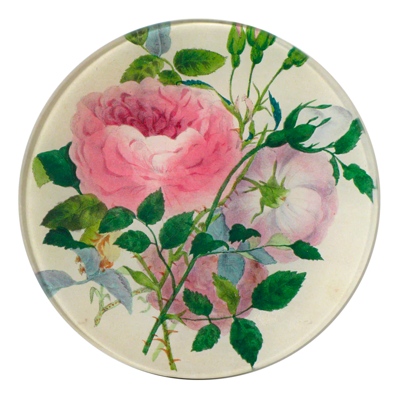 John Derian Rose Sprig 5 3/4&quot; Round Plate