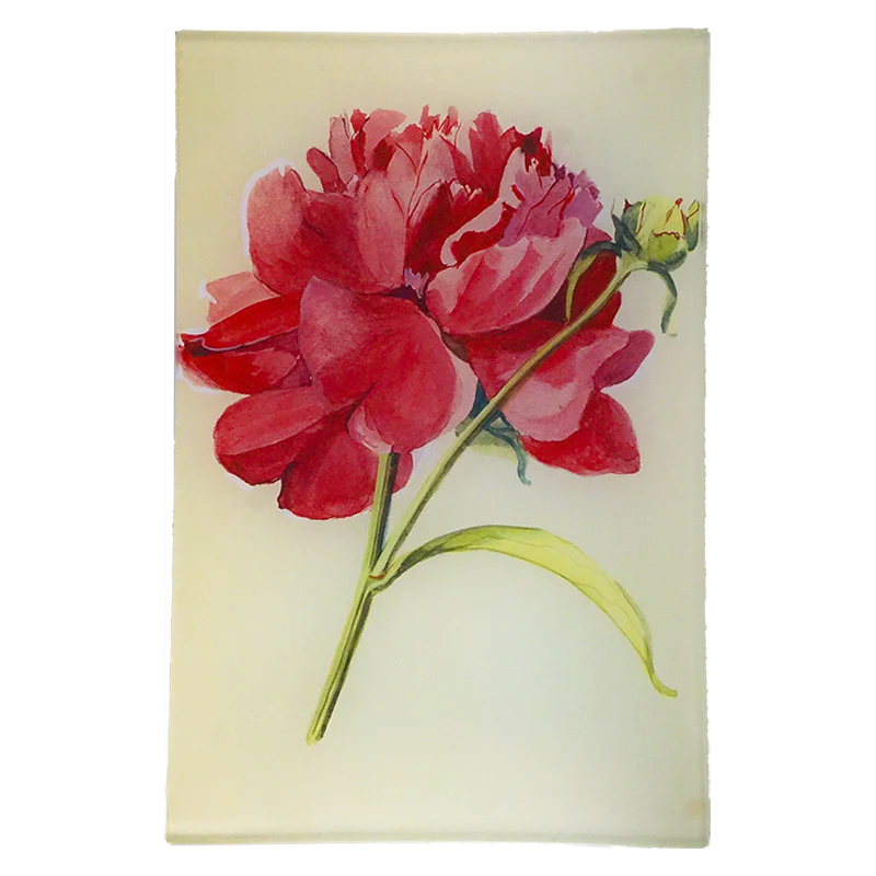John Derian Peony 6 x 9&quot; Rectangular Tray #3