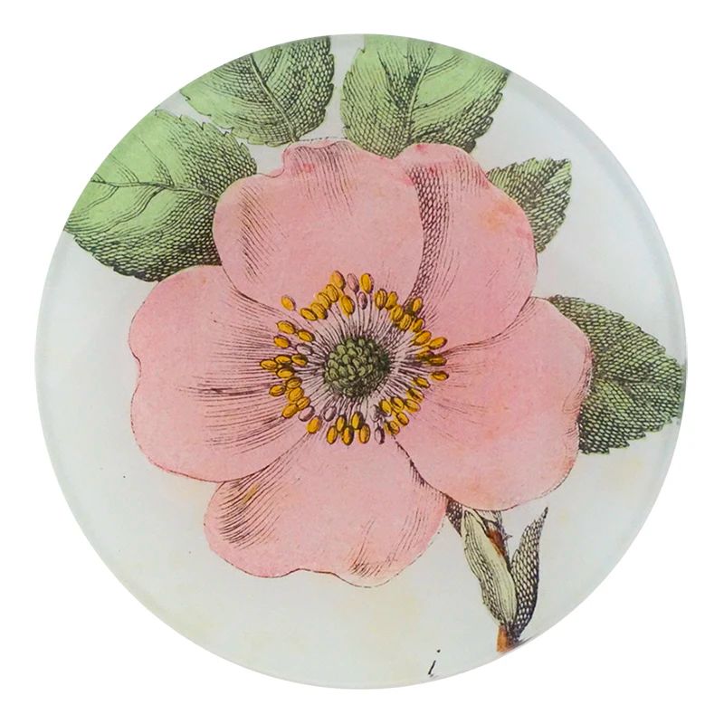 John Derian Rosa Canina 4&quot; Round Plate