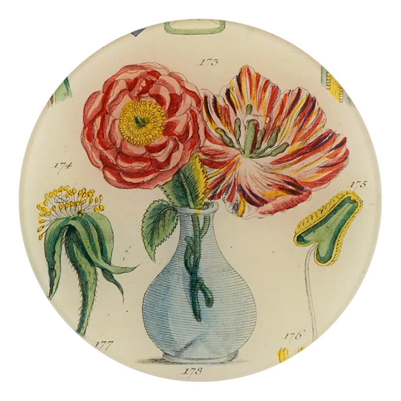 John Derian Loiq 5 3/4&quot; Round Plate