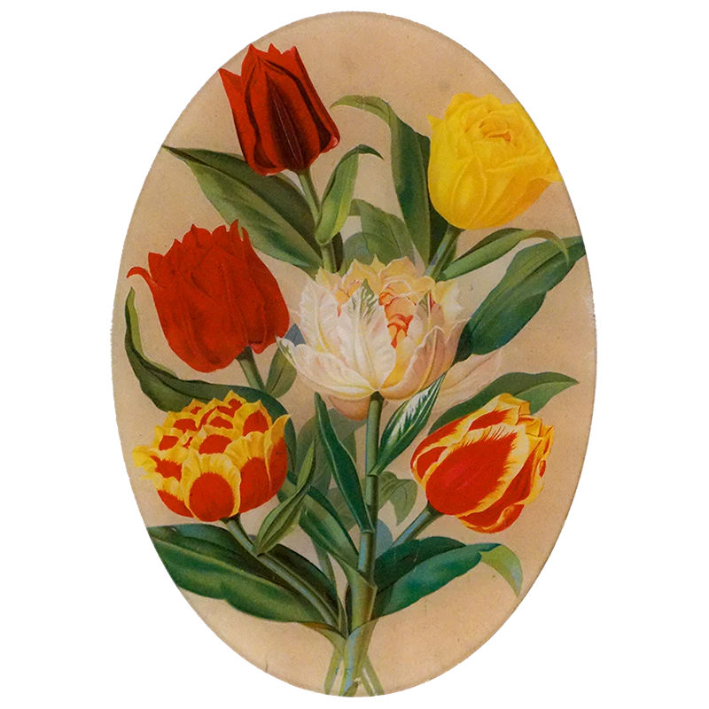 John Derian Tulip Bouquet 10 x 14 Oval Plate