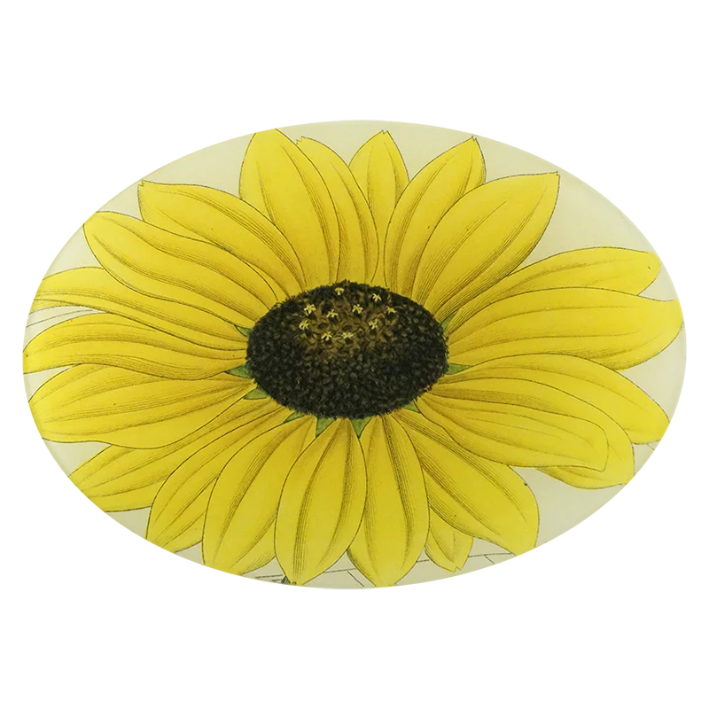 John Derian Yellow Daisy 7 x 10&quot; Oval Plate