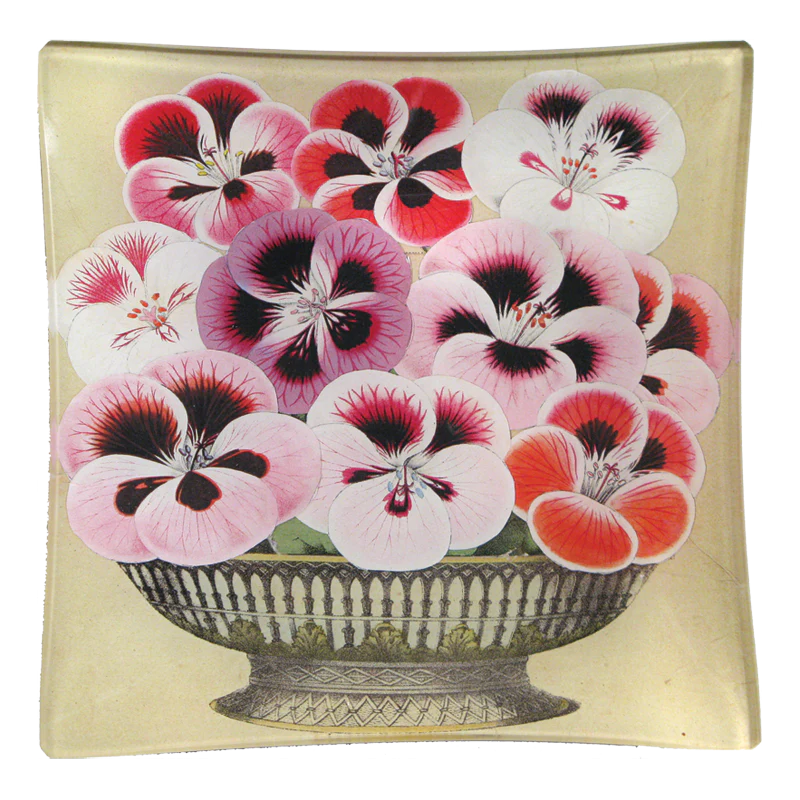 John Derian Pansy Un Vide Poche 6&quot; Square