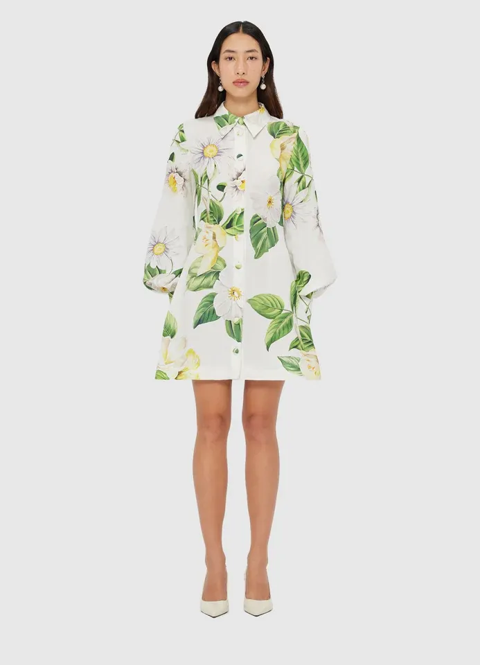 Leo Lin Luminous Linen Mini Dress Joie Print in Snow