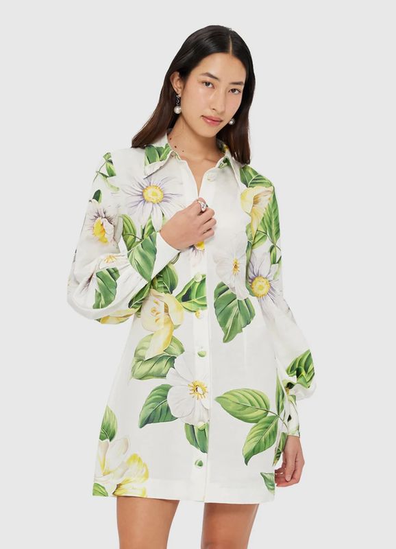 Leo Lin Luminous Linen Mini Dress Joie Print in Snow