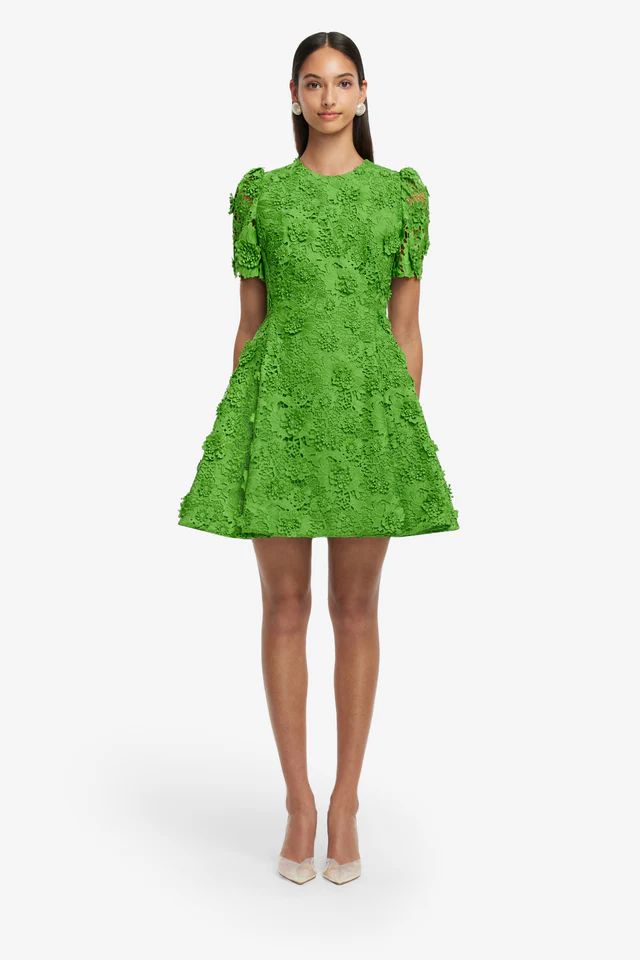 Leo Lin Elyse Lace Short Sleeve Mini Dress in Fern