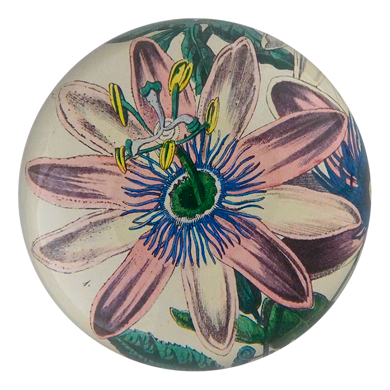 John Derian Passion Flower 1858 Dome Paperweight