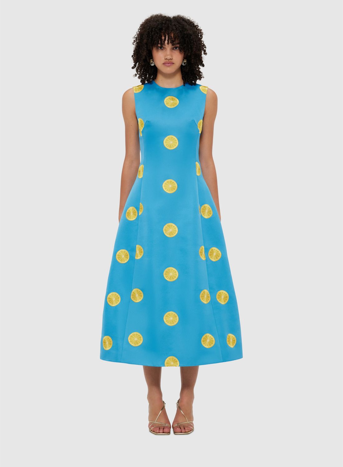 Leo Lin Cleo Embroidered Sleeveless Midi Dress in Citrus Embroidery