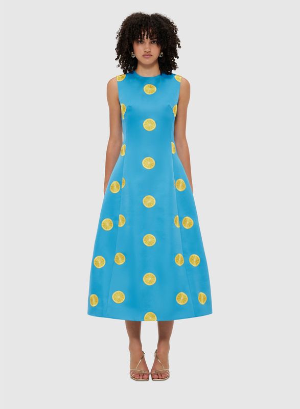 Leo Lin Cleo Embroidered Sleeveless Midi Dress in Citrus Embroidery