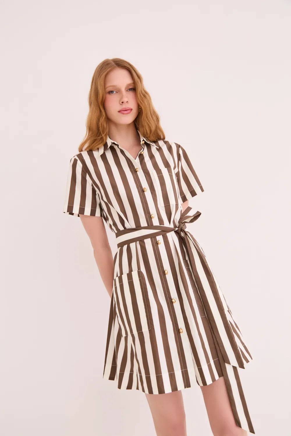 Cara Cara Lagos Dress in Brown Ivory Stripe