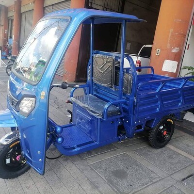 E-TRUCK WITH ROOF