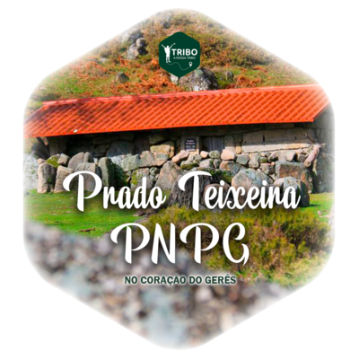 Prado Teixeira - Parque Nacional da Peneda-Gerês
27/07/2024