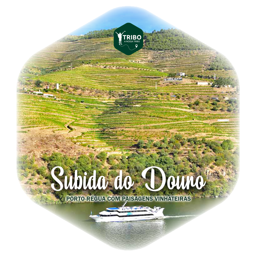 Subida do Douro