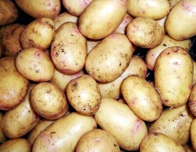 Irish potatoes