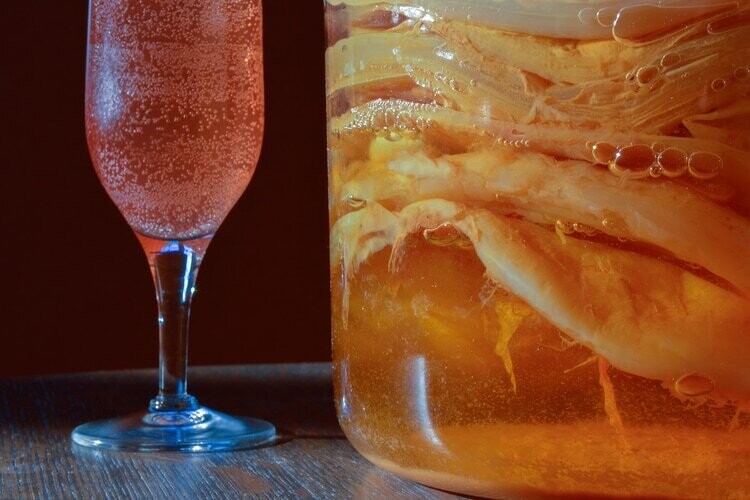 Kombucha