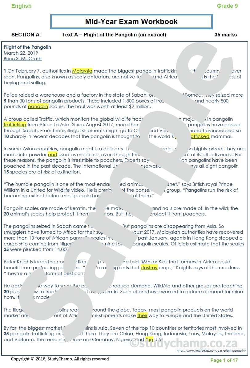 Grade 9 English Mid-year Exam Revision: Comprehension and Language