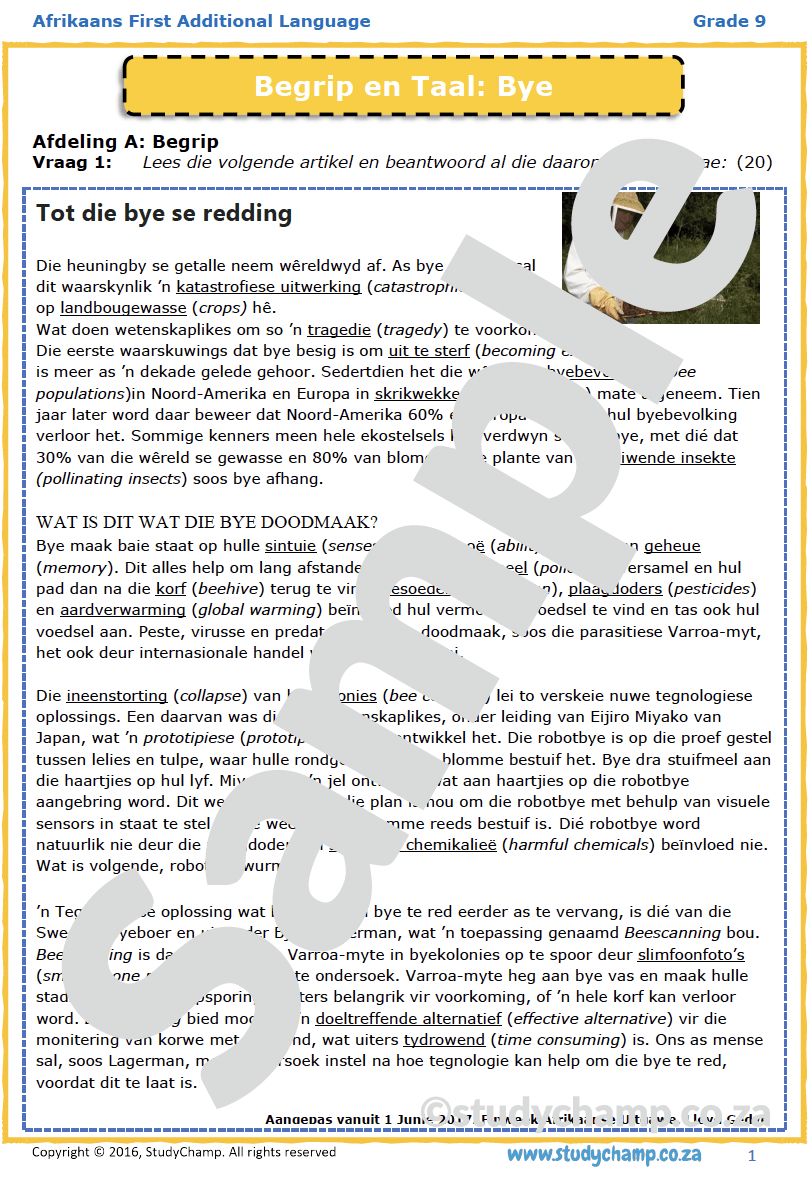 Grade 9 Afrikaans: Begrip en Taal - Bye