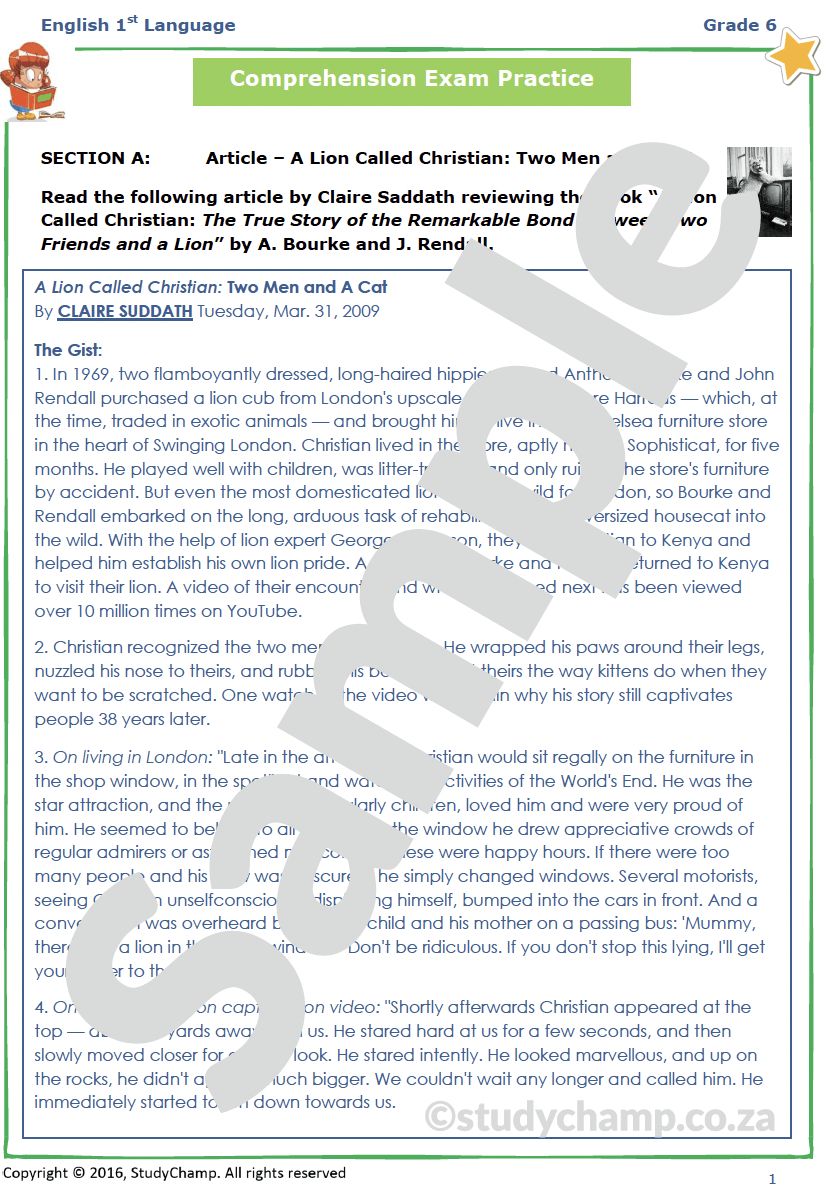 Grade 6 English Year-end Exam Revision: Comprehension