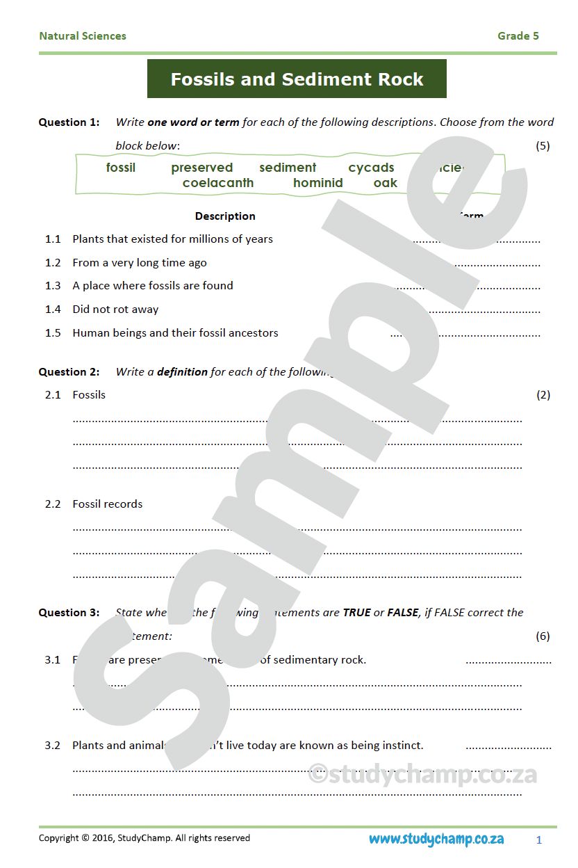 Grade 5 Natural Sciences Test: Fossils and Sedimentary Rock