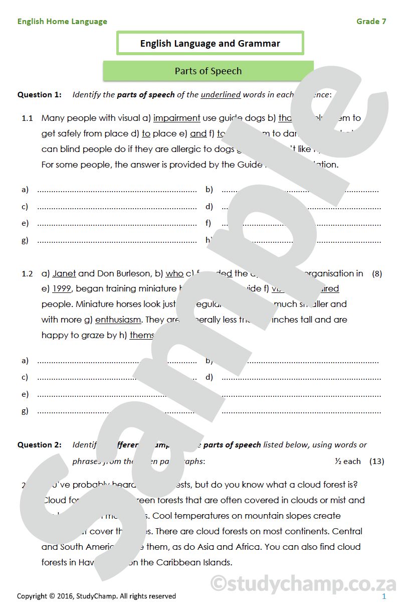 Grade 7 English Mid-year Exam Revision: Language and Grammar