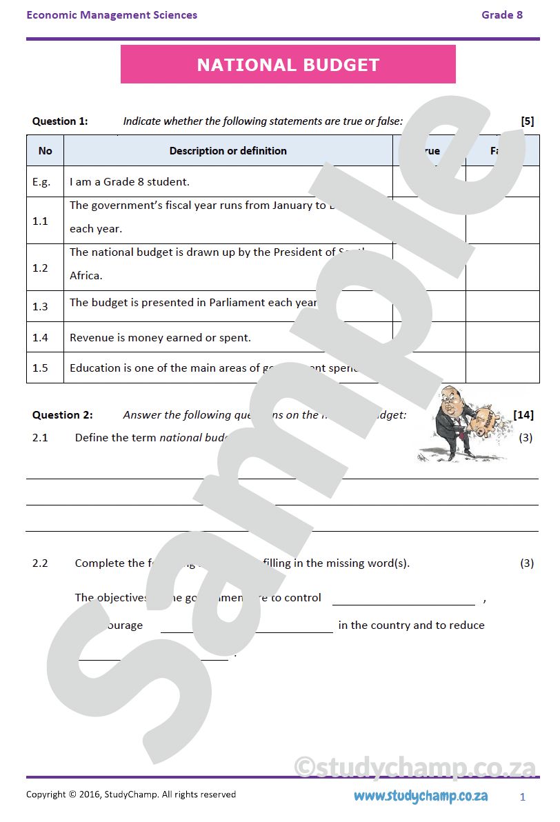 Grade 8 Economic and Management Sciences Bundle