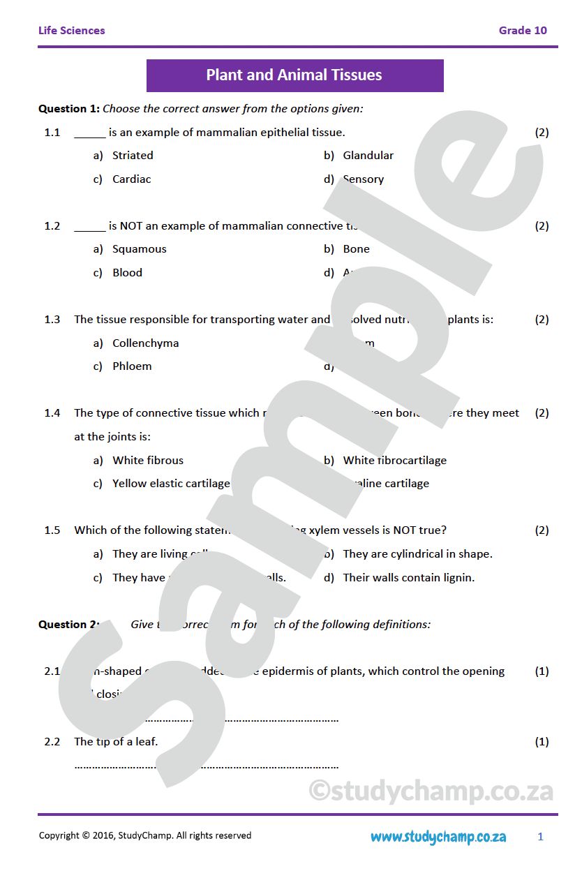 Grade 10 Life Sciences: Plant and Animal Tissues
