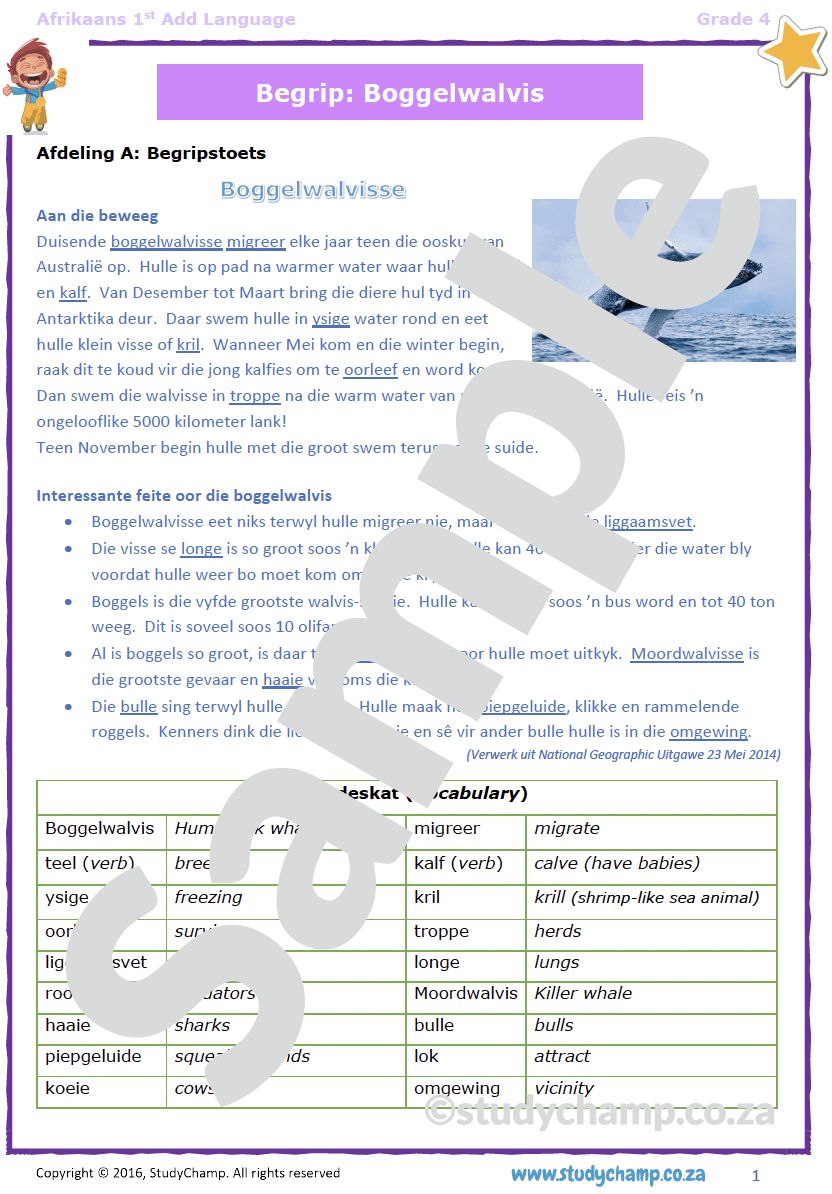 Grade 4 Afrikaans First Additional Language Bundle