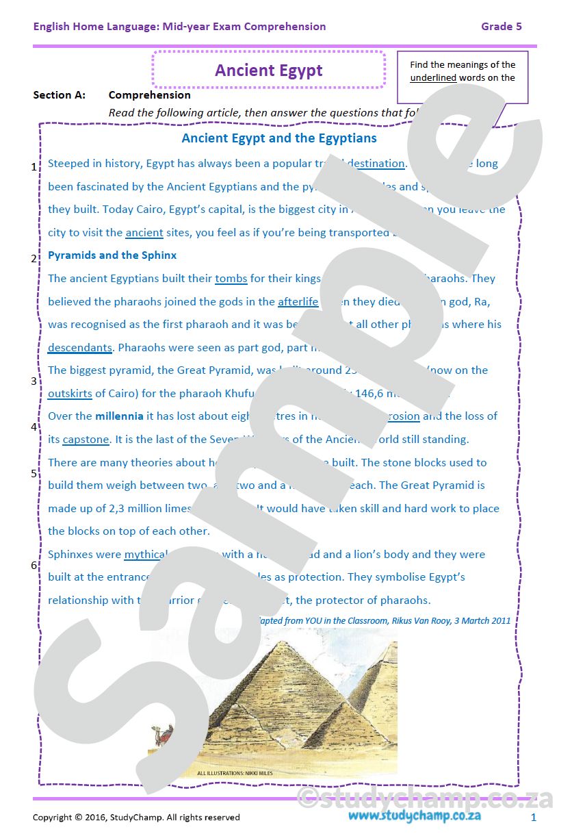 Grade 5 English Mid-year Exam workbook: Comprehension