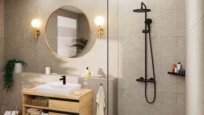 Simulateur 3D Hansgrohe &amp; Axor / Edifis