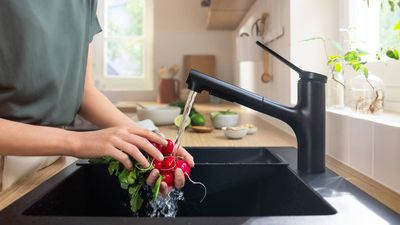 Robinetterie de cuisine avec douchette extractible