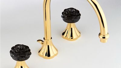 Camélia Cristal Noir