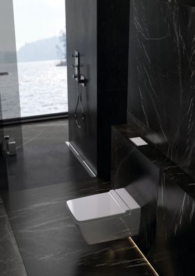 Omega concealed cisterns