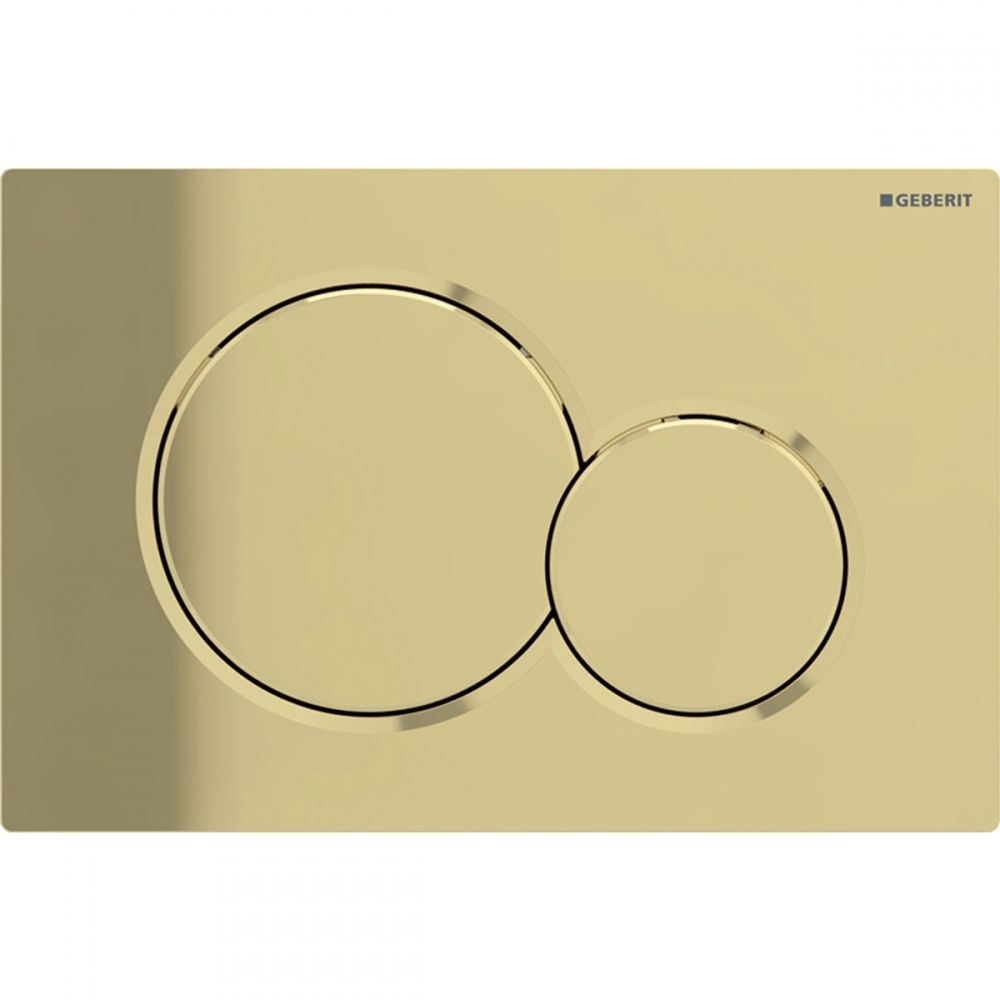 Geberit Sigma01 Round Flush Plate / Special Galvanized Brass